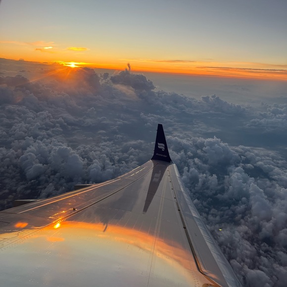 Meet Jocey💗 - Picture 4 of 13